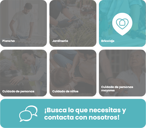 servicios